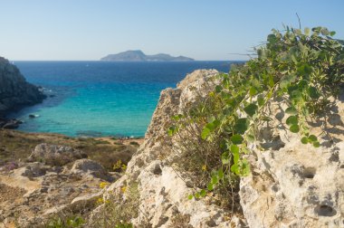 Favignana Adası