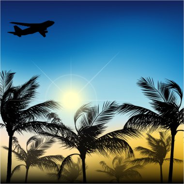 Palm trees and airplane clipart