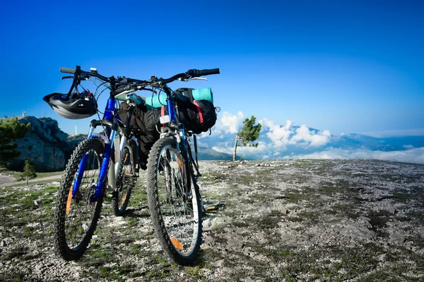 Stock image Two bikes