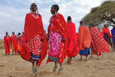Masai kadın dans