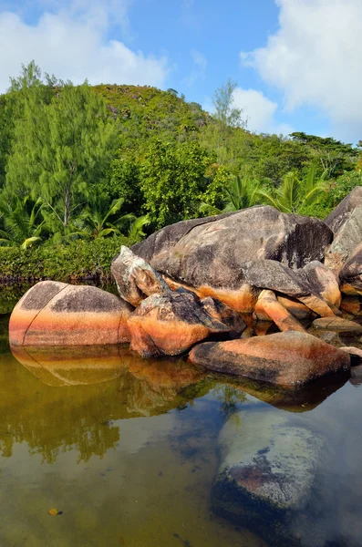 Σεϋχέλλες νησί, το praslin乾燥した風景の中のバス大破 — Φωτογραφία Αρχείου