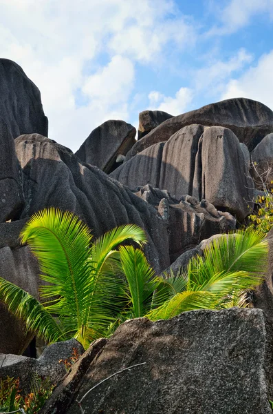 Islas Seychelles — Foto de Stock