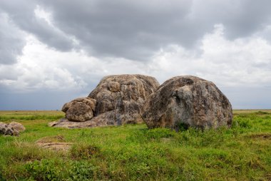 Serengeti, Tanzanya