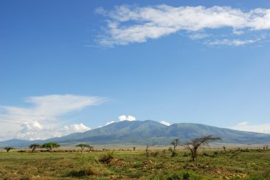 African landscape, Tanzania clipart