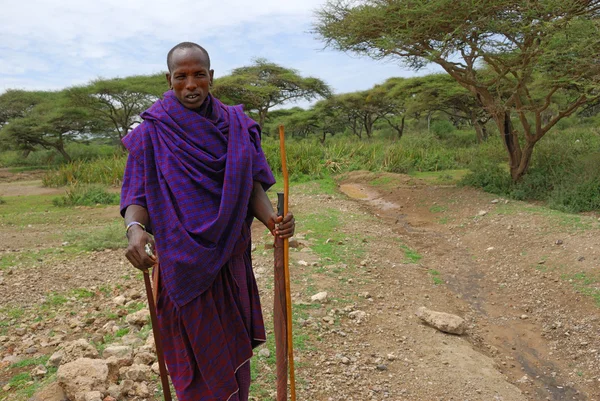 Masai uomo — Foto Stock