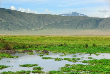 Ngorongoro conservation area clipart