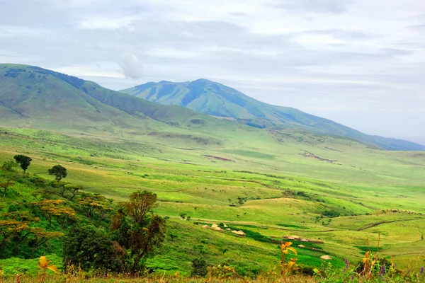 Afrikansk landskap, Tanzania – stockfoto