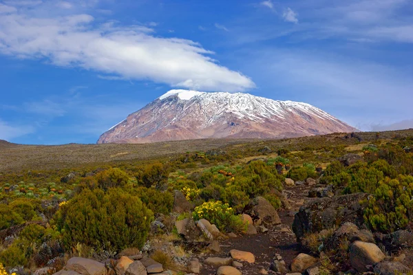 Cumbre del Kilimangaro — Foto de Stock