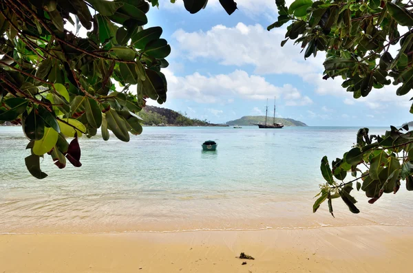 Tropical beach on Seychelles island — Stock Photo, Image