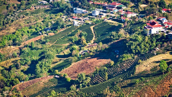 stock image Mae Salong village