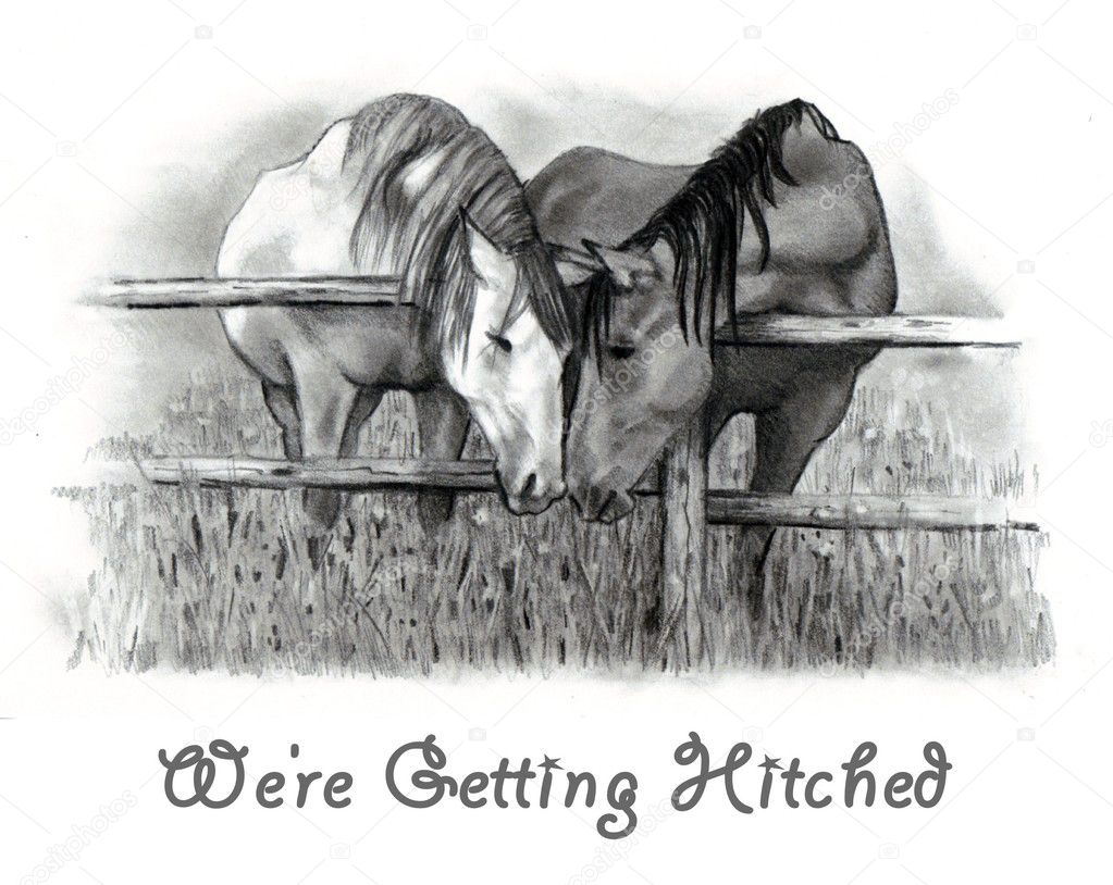 Horses in Pencil: Getting Hitched