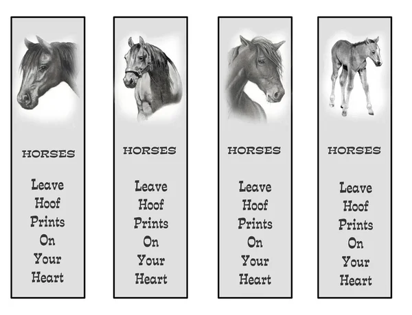 Hästar med blyerts: uppsättning bokmärken med citat Stockbild