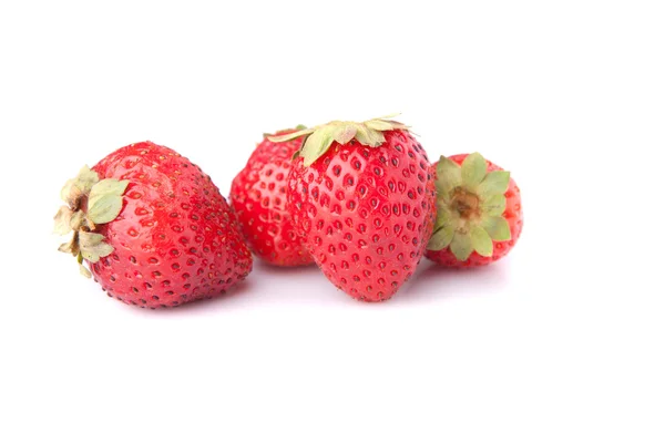 草莓生产用 — 图库照片