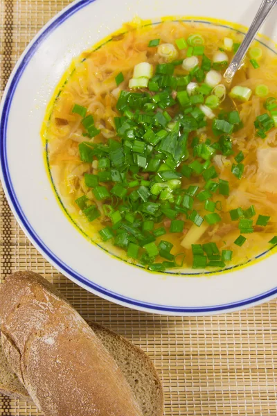 Sopa caliente con cebolletas y pan de centeno en un napki decorativo — Foto de Stock