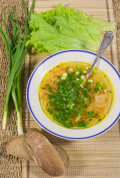 Sopa caliente con cebolletas y pan de centeno en un napki decorativo —  Fotos de Stock