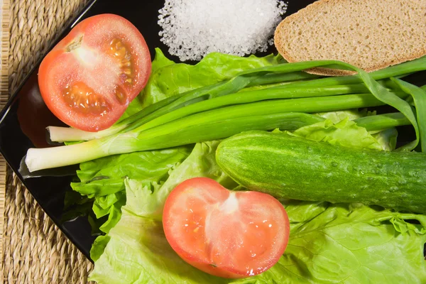 Röda mogna tomater med grönska, rågbröd och stora salt — Stockfoto