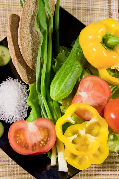 Légumes avec verdure, pain de seigle et gros sel dans un plat — Photo