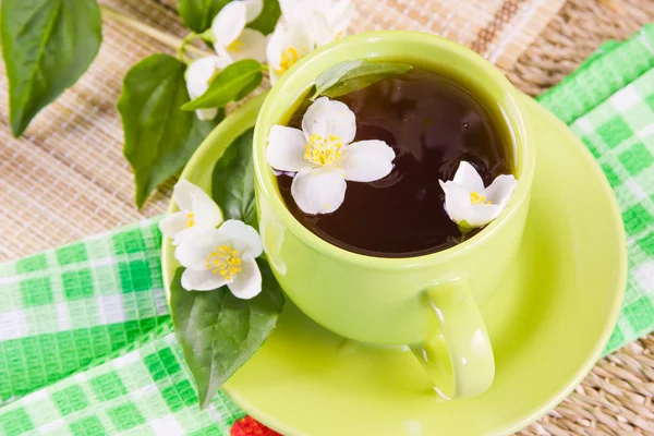 Grönt te och kvistar av jasmin — Stockfoto