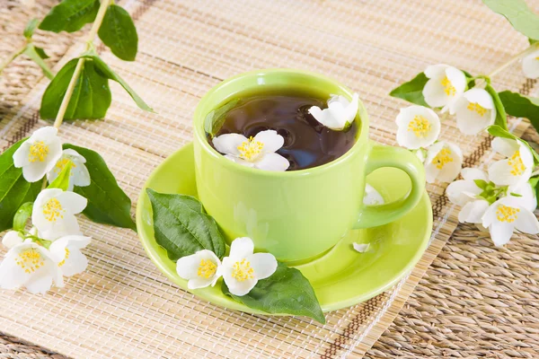 Zielona herbata i gałązek jasmin — Zdjęcie stockowe