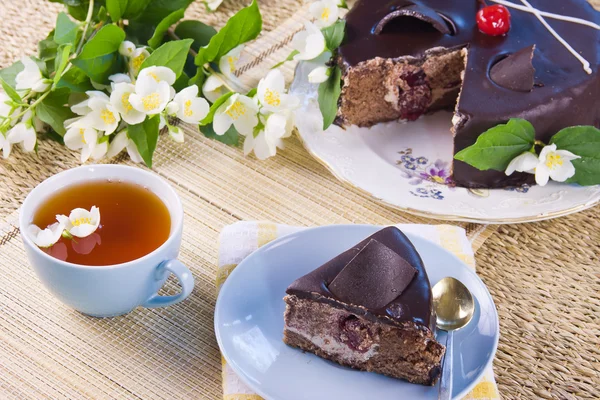 Grönt te med jasmin och kaka — Stockfoto