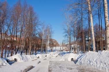 Avenue in a winter park, city Perm clipart