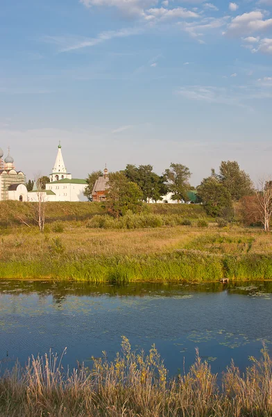 stock image Beautiful summer landscape at a pond, Vladimirskiy area, Russia