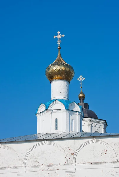 圣 vassilievski 男修道院，夫拉迪米洛卡领域俄罗斯 — 图库照片