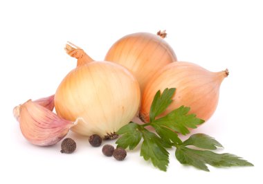 Onion and garlic clove