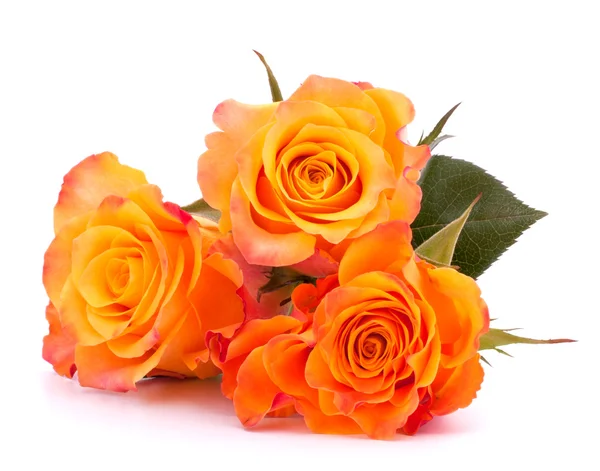 Τρεις πορτοκαλί τριαντάφυλλα — Φωτογραφία Αρχείου