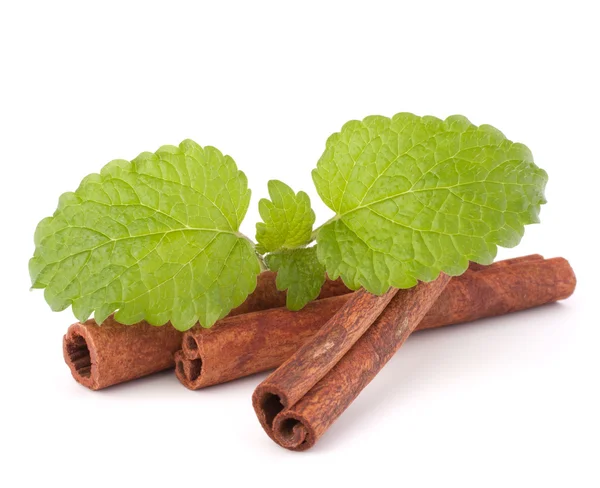 stock image Cinnamon sticks and fresh mint leaf