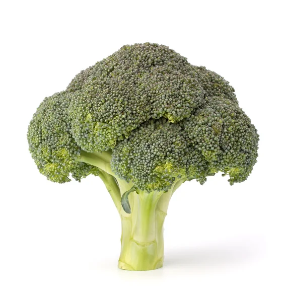 Broccoli plantaardige — Stockfoto
