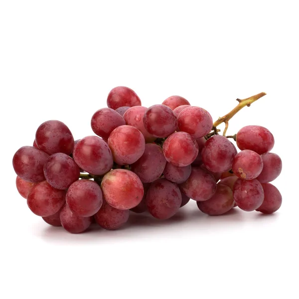 Bouquet parfait de raisins rouges — Photo
