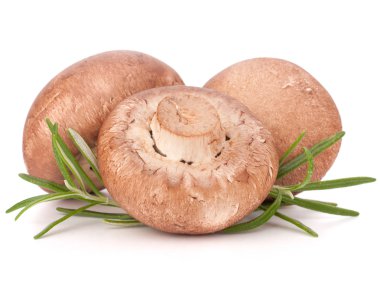 kahverengi champignon mantar ve biberiye yaprakları