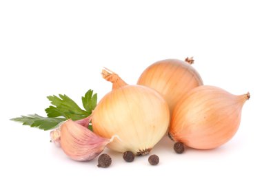 Onion and garlic clove