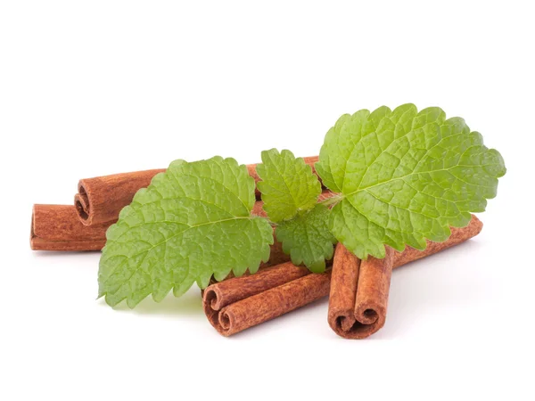 stock image Cinnamon sticks and fresh mint leaf