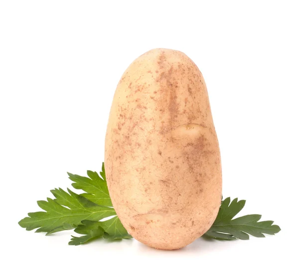 Картофель и листья петрушки — стоковое фото