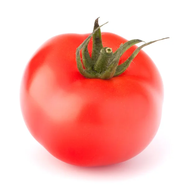 番茄蔬菜 — 图库照片