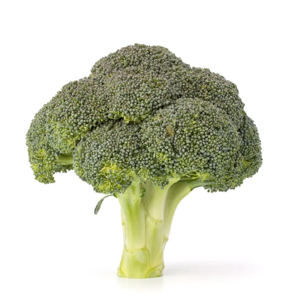 Brokuły warzyw — Zdjęcie stockowe