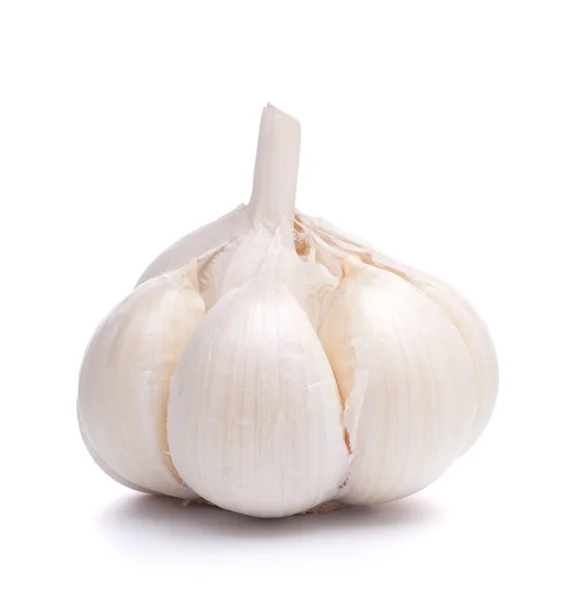 Bulb de usturoi — Fotografie, imagine de stoc