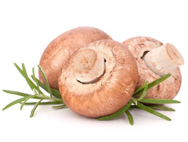 kahverengi champignon mantar ve biberiye yaprakları