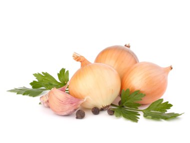 Onion and garlic clove