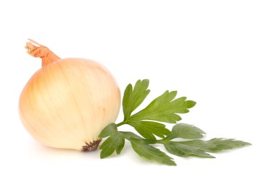 Onion and garlic clove