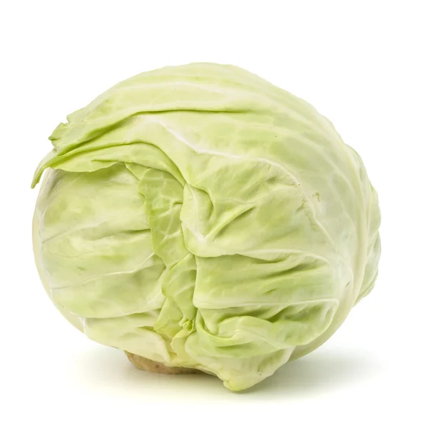 stock image Head of cabbage