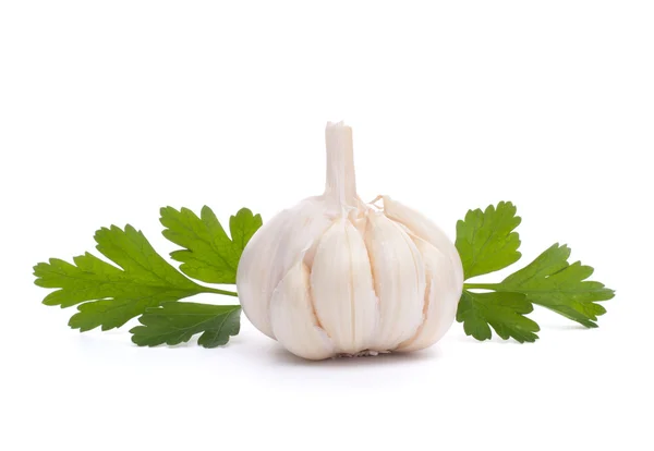 Garlic bulb — Stock Photo, Image