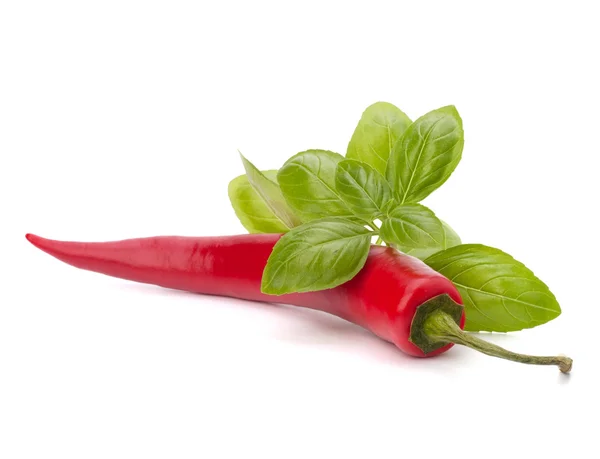 Stock image Chili pepper and flavoring herbs