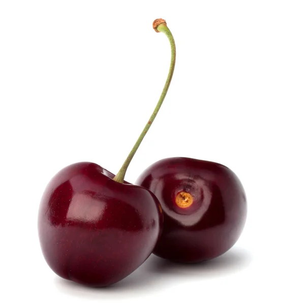 stock image Two cherry berries