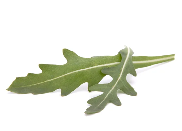 Ensalada de rúcula dulce o hojas de lechuga cohete —  Fotos de Stock