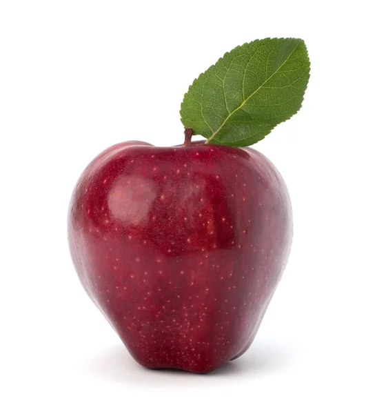 Søte røde epler med grønt blad – stockfoto