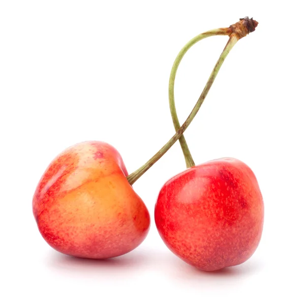 Две вишневые ягоды — стоковое фото