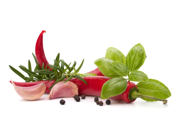 Chili pepper and flavoring herbs — Stock Photo, Image